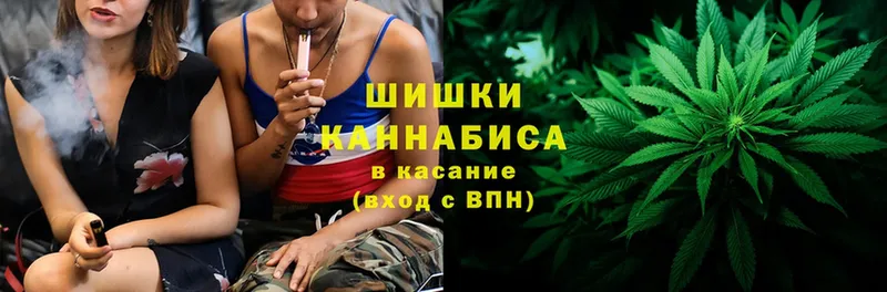 купить закладку  Зеленогорск  Бошки марихуана LSD WEED 